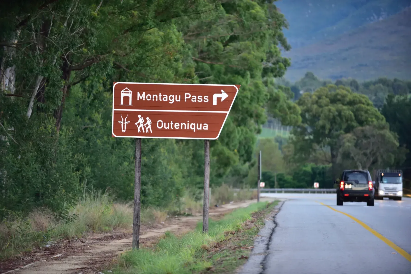 A road crossing green coastal hills along South Africa's Garden Route